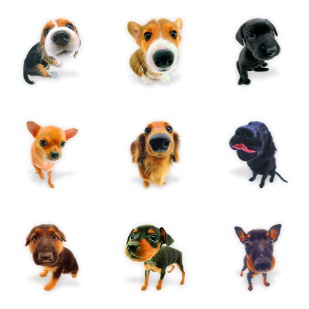 Dogs N Puppies icon sets preview