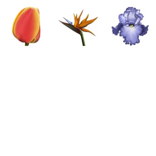 Flowers icon sets preview