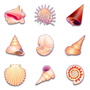 Sea Shells icon sets preview