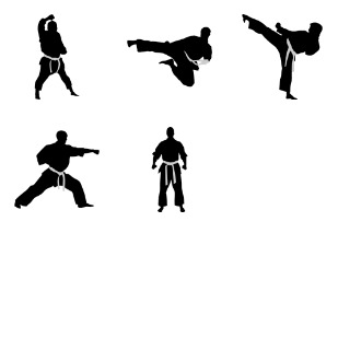 Karate icon sets preview