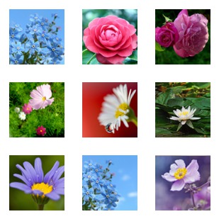 Flowers Bases icon sets preview