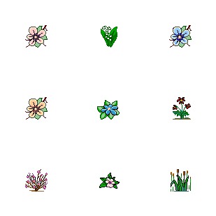 Flower 1 icon sets preview