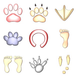 Animal Tracks icon sets preview