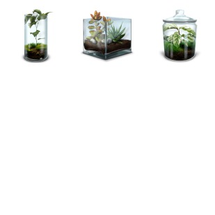 Terrarium icon sets preview