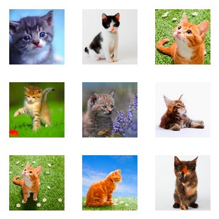 Cat Photo icon sets preview